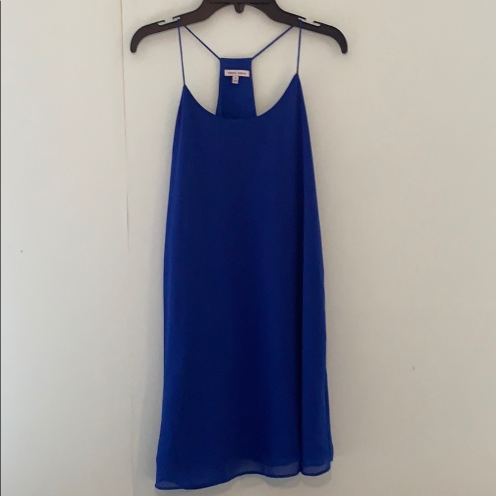 Naked Zebra blue dress
